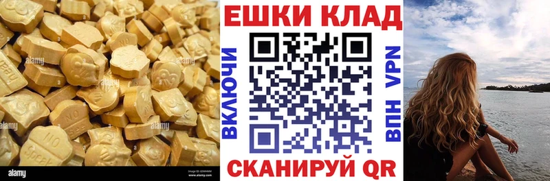 omg сайт  Бердск  ЭКСТАЗИ Philipp Plein 