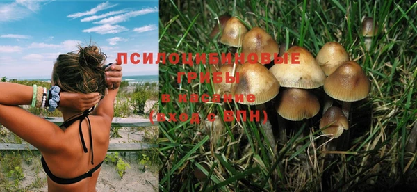 спайс Козловка