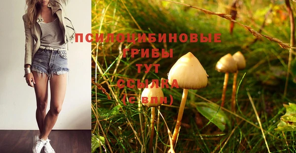 первитин Кодинск