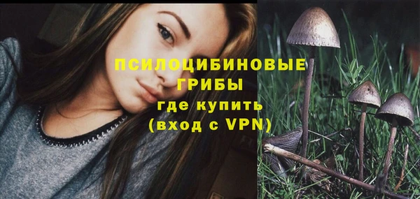 первитин Кодинск