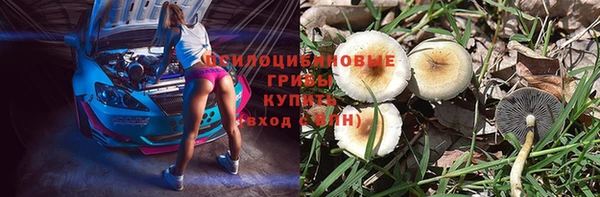 экстази Козельск
