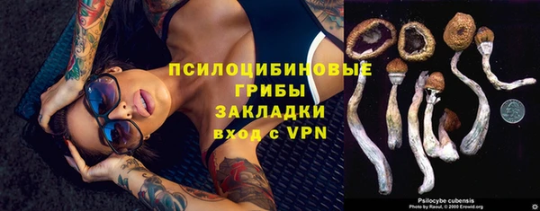 спайс Козловка